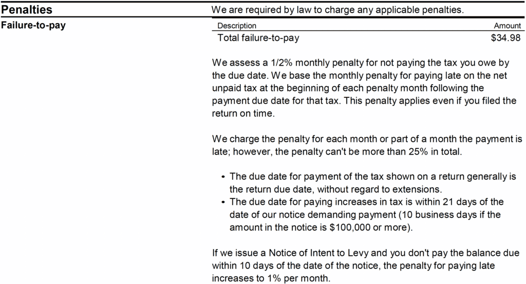 CP503 Notice Penalties 1