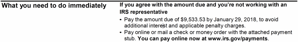 CP503 Notice What the IRS Wants You To Do 1