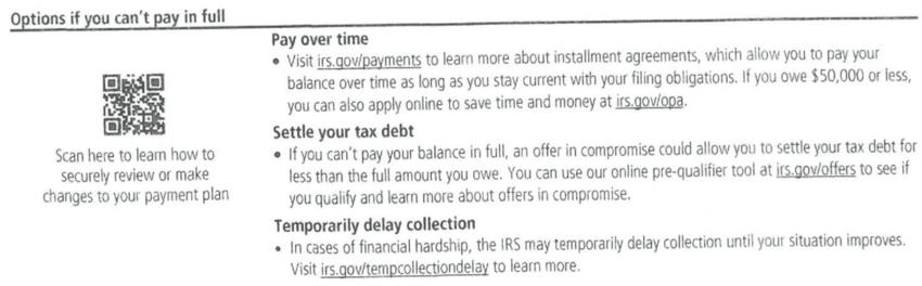 IRS-Notice-CP11-Options-If-You-Cant-Pay-In-Full