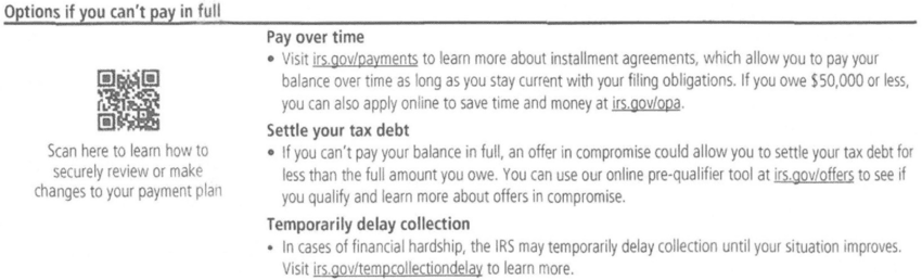 Options if you can't pay in full section listing three choices on a redacted IRS Notice CP23 a Choice Tax Relief client received