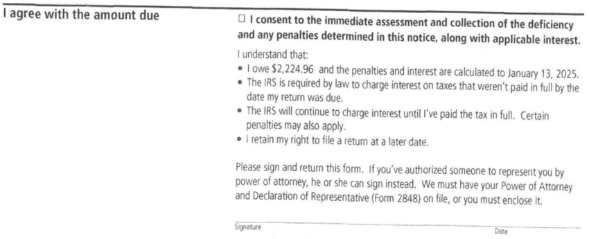 Response form section with the checkbox consenting to immediate assessment and collection and the statement that $2,224.96 is owed on a redacted IRS Notice CP3219N a Choice Tax Relief client received