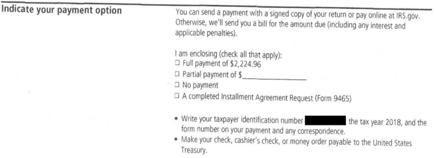 Payment option checkboxes for full payment of $2,224.96, partial payment, no payment or a Form 9465 installment agreement request on a redacted IRS Notice CP3219N a Choice Tax Relief client received