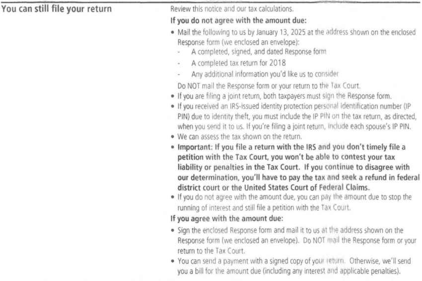 Section titled You can still file your return, listing what to mail to the IRS and the warning about not petitioning on time on a redacted IRS Notice CP3219N a Choice Tax Relief client received