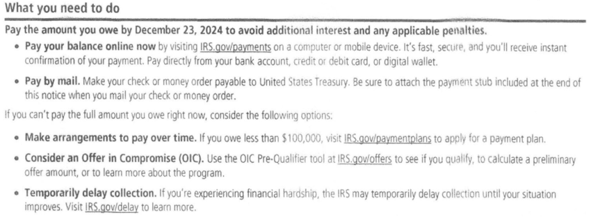 IRS-Notice-CP39-What-the-IRS-Needs-You-To-Do