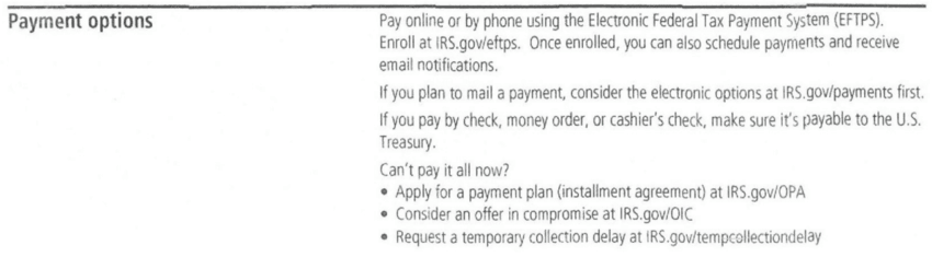 IRS Notice CP504B Payment Options