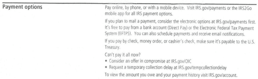 IRS Notice CP521 Payment Options
