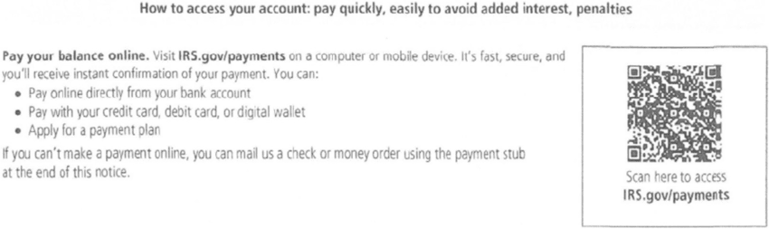 LT38 How to Pay Your Balance Online