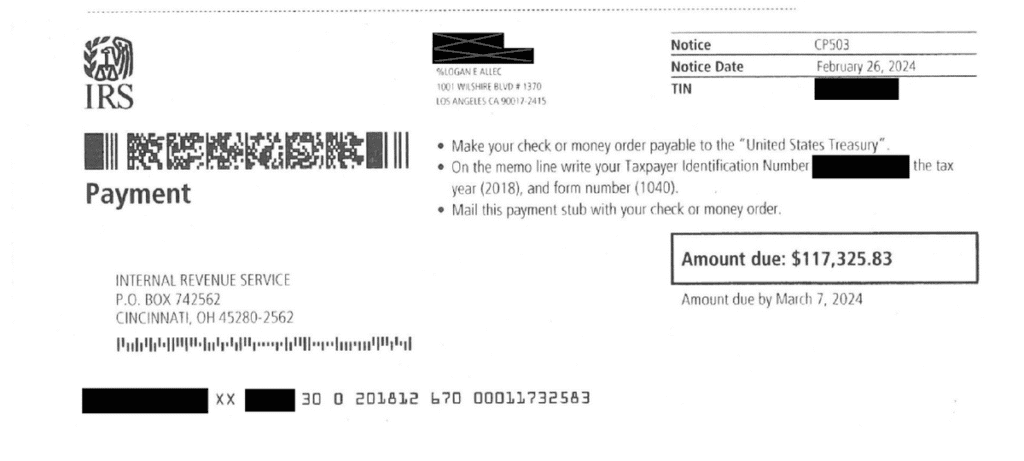 CP503 Notice Payment Stub